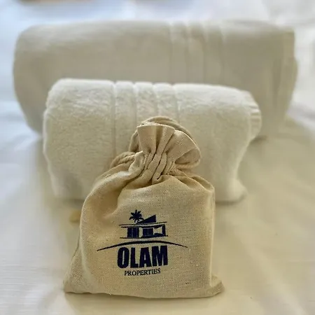 Superbe 4 Pcs Piscine Olam